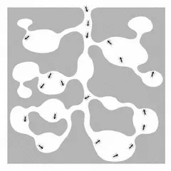 ARIKANASHIKA 【CD、音楽 中古 CD】ケース無:: レンタル落ち
