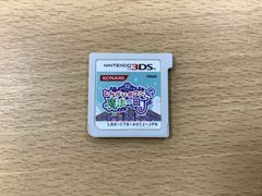 DS とんがりボウシシリーズ とんがりボウシと魔法の町
