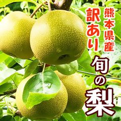 ⚠️れある♥りよん♥ありな♥様専用⚠️ 茨城県産 梨/凛夏 家庭用