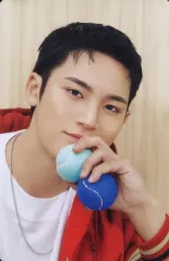 【中古】コレクションカード(男性) 44：SEVENTEEN/ミンギュ(MINGYU)/「2025 SVT 9TH FAN MEETING ＜SEVENTEEN in CARAT LAND＞」トレーディングカード