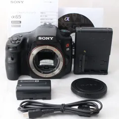 2025年最新】sony α65の人気アイテム - メルカリ