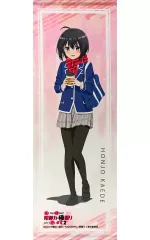 【非売品】痛いのは嫌なので防御力に極振りしたいと思います。 B2 ポスター 2025年最新】痛いのは嫌なので防御力に極振りしたいと思います