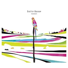 moment [Audio CD] Sotte Bosse