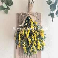 ポット付♡】ユーカリ銀世界 かすみ草 ドライフラワー