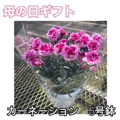 【母の日】【早割価格】【メルカリ送料無料】【発送は5月スタート】【予約制】 メルカリ配送一覧表6枚セット - メルカリ