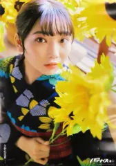 矢野妃菜喜 lilyScramble 缶バッジ 70個 矢野妃菜喜 | ソニーミュージック公式オンラインショップ【ROCKET