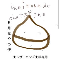 ★シザーハンズ★様専用　おやつ便　シフォンケーキサンド　チーズケーキ　テリーヌ