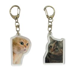 Item thumbnail for item 2ff0e1e1-a8ff-45f3-bd77-3c70ac0fe67b