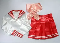 【中古】衣類その他(キャラクター) [単品] らき☆すた 陵桜学園セーラー服「らき☆すた ～陵桜学園 桜藤祭～」DXパック同梱特典セット