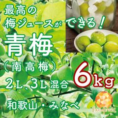 青梅　南高梅　和歌山県　みなべ産　6kg　2Lサイズ,3Lサイズ 混合　梅酒、梅ジュース作りに　【発送予定6月上旬】