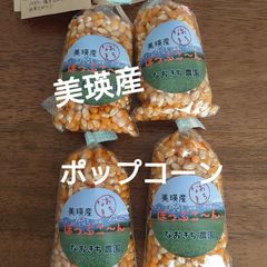 美瑛産・はじける！香ばしいポップコーン【100g×4】