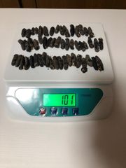 工場直売　関西産　A級品 乾燥なまこSSS 100g50匹 (計量時100g53本)