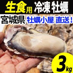 牡蠣 生食用 冷凍 3kg 18～36個 殻付き 産地直送 宮城県産 三陸 カキ kaki 牡蛎 海鮮 貝 貝類 バーベキュー BBQ 