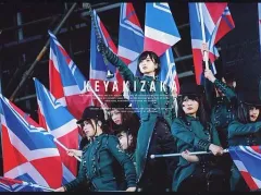 【中古】邦楽Blu-ray Disc 欅坂46 / 欅坂46 欅共和国2017 [初回生産限定盤]