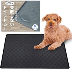 Item thumbnail for item 131aa9d6-e451-4e4a-aa13-e0fac792c2f9