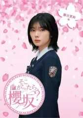 櫻坂46 藤吉夏鈴 直筆サインポスター LINE MUSIC LINEMUSIC 2025年最新】line music 櫻坂の人気アイテム - メルカリ