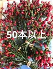 野バラの実やベルギーナッツを紡いだ　ベル付き　三日月　クリスマス　リース クリスマスリース プリザーブドフラワー 白いバラ 赤いリボン