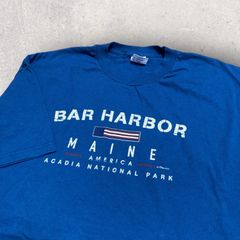 US古着 USA製 DELTA デルタ BAR HARBOR Acadia National Park アーカディア国立公園 Tシャツ XL ネイビー