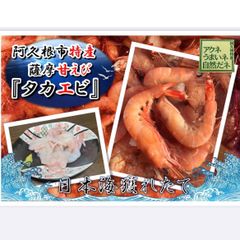 鹿児島県阿久根市産薩摩甘エビ『タカエビ』500g