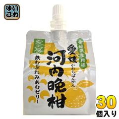 愛工房 飲むぷれみあむゼリー 河内晩柑 180g パウチ 30個入 ゼリー飲料 