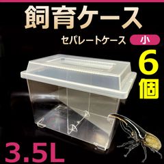 飼育ケース　セパレートケース　小　3.5L　新品　6個　カブトムシ・クワガタ 成虫飼育に最適　コバエ抑制