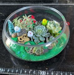 メルカリ便♫多肉植物寄植え♫そのまま飾れる♫ねこちゃんセットChristmas ♡そのまま飾れる♡ネコちゃんの可愛い多肉植物寄せ植え