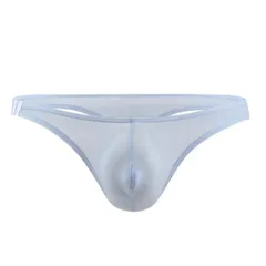 Karly Shop Tバック メンズ ローライズ 極小 極薄 ピタピタ セクシー 大きいサイズ 透ける かっこいい おしゃれ ハーフシーム 無地 ワンポイント e044