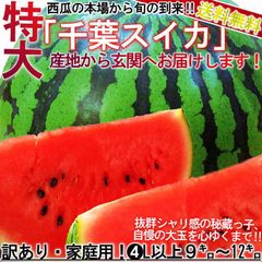 特大スイカ 約9～12kg 1玉入り 4～6L 千葉県産 訳あり品 空洞・棚落ち含む 富里・成田・船穂など国内屈指の産地厳選！