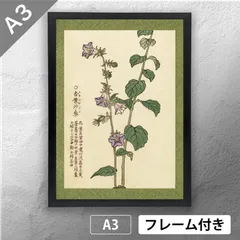 超美品☆日本画 /丸山石根画伯の四季扇面花鳥図/春夏秋冬色紙4枚と額付き箱入 超美品☆日本画 /丸山石根画伯の四季扇面花鳥図/春夏