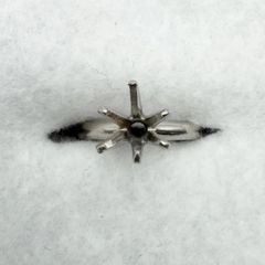 P.m850　リング　ツメのみ　14号　3.80g　220615-03