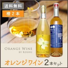 日本ワイン セット【オレンジワイン ２本セット】送料無料 甲州ワイン 白ワイン 辛口 国産 山梨ワイン 栃木ワイン オレンジ 奥野田 cfa Cfa Backyard Winery Japanese wine 酒 飲料