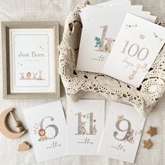 Item thumbnail for item a6fe077a-637d-4497-a6be-95c58be0d537