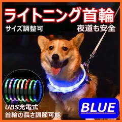 首輪 犬 光る ブルー 散歩 LEDライト USB充電 安全 061
