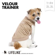 【ベロアトレーナー1-4号2L-3L／モカ】犬 服 シンプル おしゃれ 小型犬 子犬 パピー チワワ トイプー ダックス ロング丈 犬服 ドッグウェア 犬の服 ペット服 洋服 ペット用品 抜け毛防止 お散歩 おでかけ［ライフライク LIFELIKE公式］