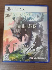 【PS5】ワイルドハーツ