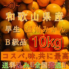 〝コスパ味最高〟和歌山産 温州みかん B級品 10kg