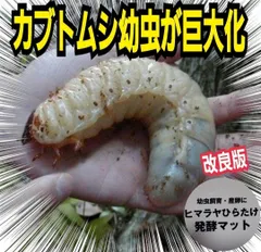 専用出品プレミアム発酵マット60リットル 発酵カブトマット5L×12袋セット（60L）☆送料無料