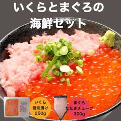 【送料無料】いくらとまぐろの海鮮セット いくら醤油漬け250ｇ まぐろたたき300ｇ いくら丼 ネギトロ丼 海鮮丼