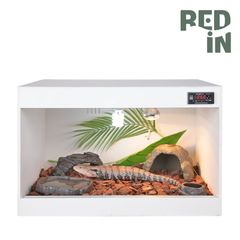 Red in フォルマックス爬虫類ケージトカゲ飼育場 XLサイズ (120cm 