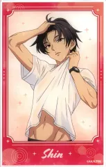 エイティシックス シン レーナ ミニフォト風カード カラ鉄 エイティシックス シン ミニフォト風カード カラ鉄 カラオケの