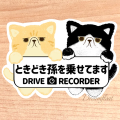 ときどき孫を乗せてます.ドライブレコーダー【エキゾチック2匹】マグネットタイプ