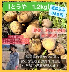 じゃがいも(とうや)1.2kg【農薬、肥料不使用】なっちゃん野菜