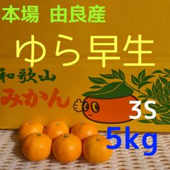 和歌山  由良産  ゆら早生  3S  5kg