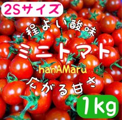 ミニトマト　2Sサイズ　1キロ