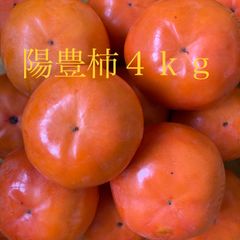 みゆりん様専用　陽豊柿