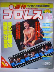 新日本プロレス 内藤哲也選手直筆サイン入りタペストリー(DESTRUCTION '11 会場で入場ゲートの天井の幕として使用) 新日本プロレス 内藤哲也選手直筆サイン入りタペストリー