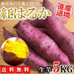 紅はるか さつまいも 5kg 産地直送 産直 さつま芋 薩摩芋 焼き芋 石焼き芋 芋 いも 鹿児島県産 FJK-000