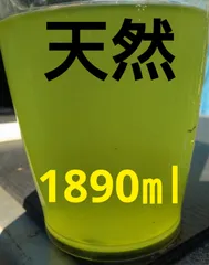 天然 グリーンウォーター(種水．青水) 1890ml。メダカ．　ゾウリムシ　ミジンコ　金魚　青水のサムネイル