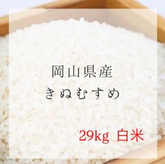 農薬不使用】令和7年産きぬむすめ 15kg 玄米 - メルカリ