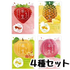 半生フルーツ ドライフルーツ ドウシシャ（いちご、パイン、梨、ピーチ ）【お試し4種セット】